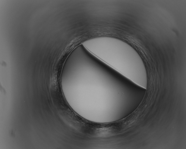 X0000091090312200708061005