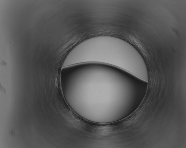 X0000091090313200708061005