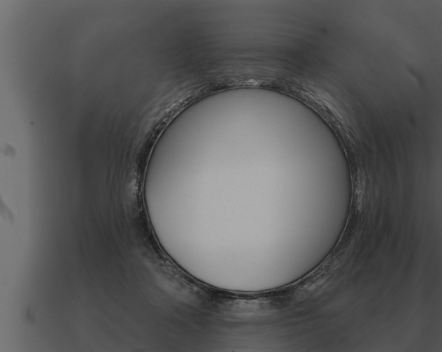 X0000091090314200708061005