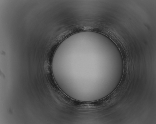 X0000091090316200708061005