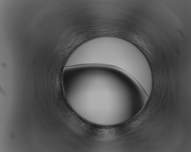 X0000091090317200708061005