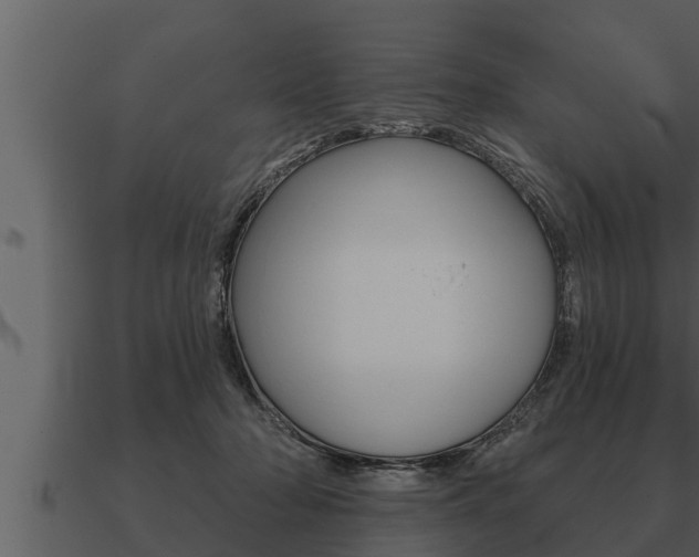 X0000091090318200708061005