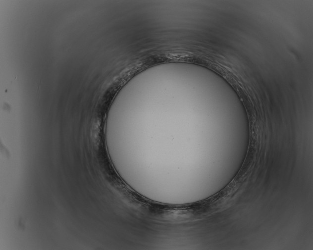X0000091090319200708061004