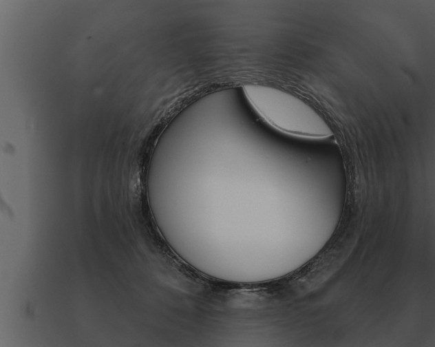 X0000091090320200708061004