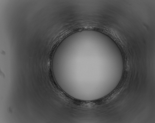 X0000091090321200708061004