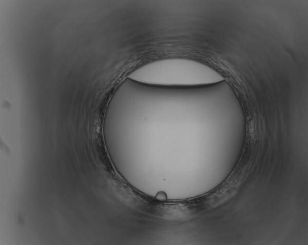 X0000091090322200708061004