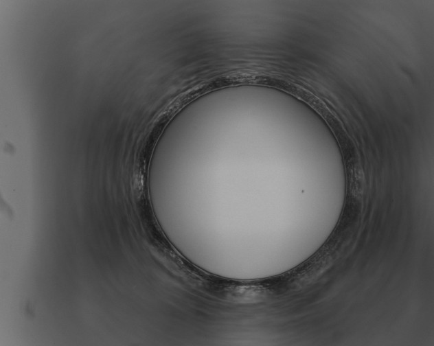 X0000091090324200708061004