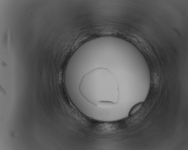 X0000091090326200708061004