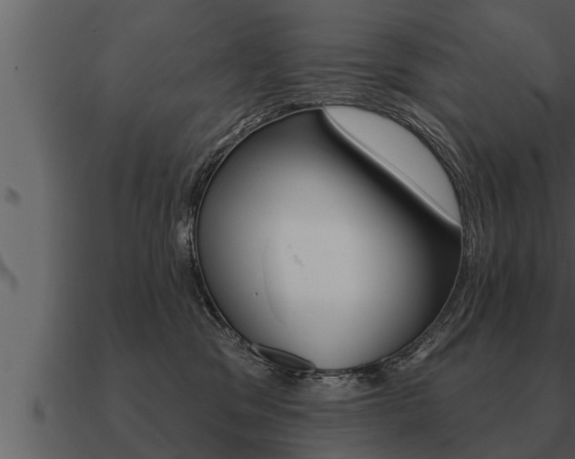 X0000091090329200708061004