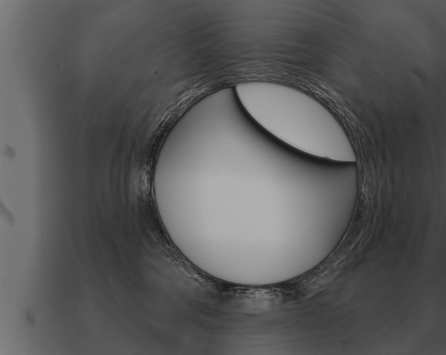 X0000091090330200708061004
