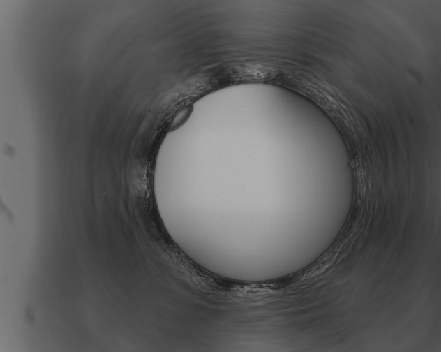 X0000091090331200708061004