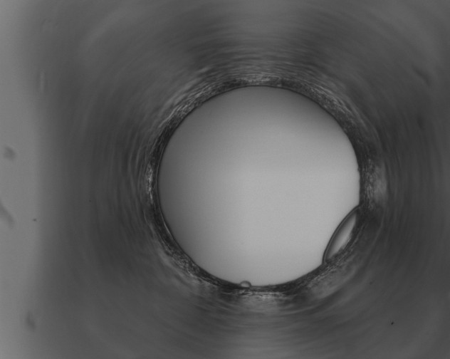 X0000091090332200708061004