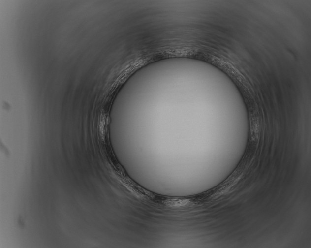 X0000091090334200708061004