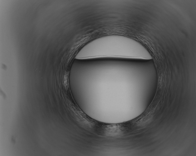 X0000091090335200708061004
