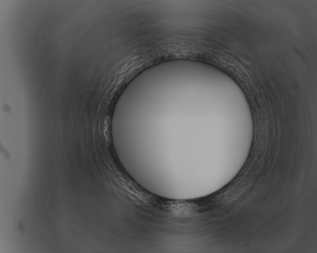 X0000091090336200708061004