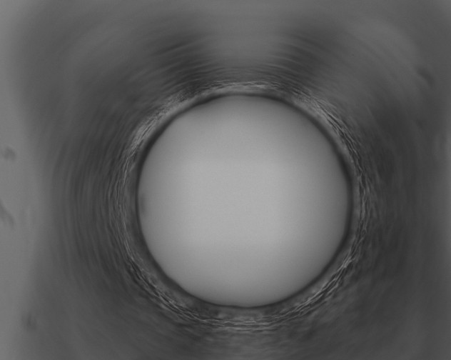 X0000091090337200708061003