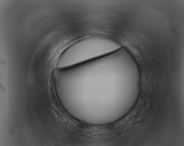 X0000091090338200708061004