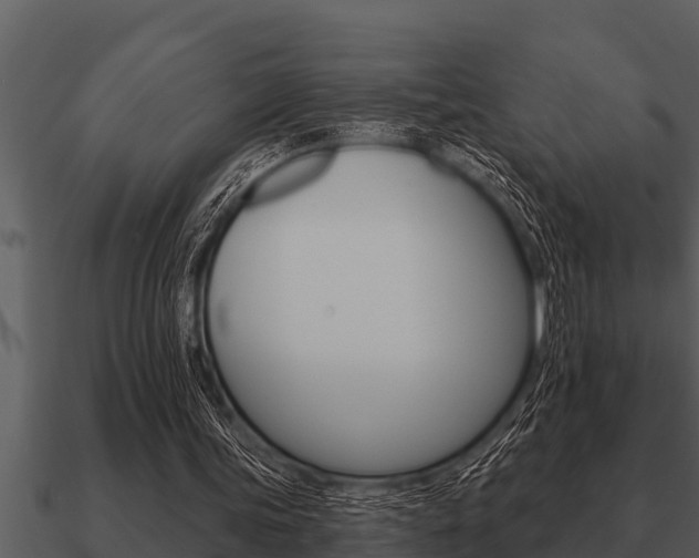 X0000091090339200708061004
