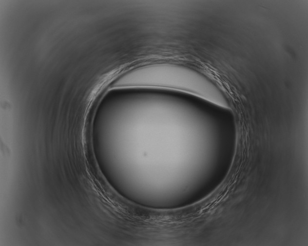 X0000091090340200708061004