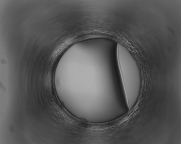 X0000091090341200708061004