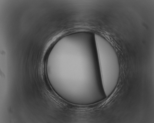 X0000091090342200708061004