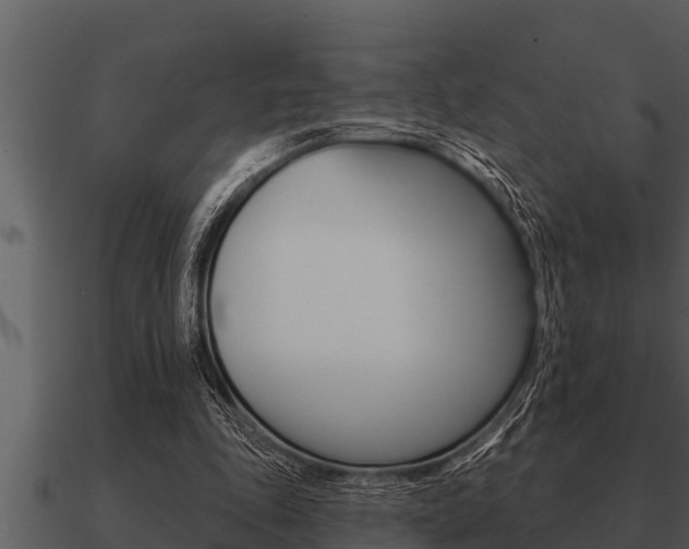 X0000091090343200708061004