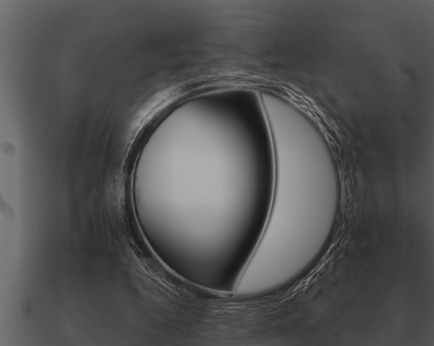 X0000091090344200708061004
