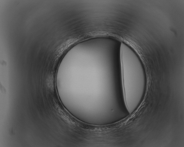 X0000091090345200708061004