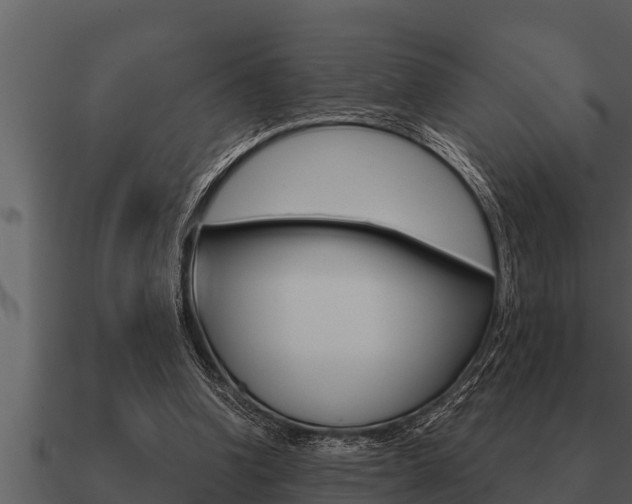X0000091090346200708061004
