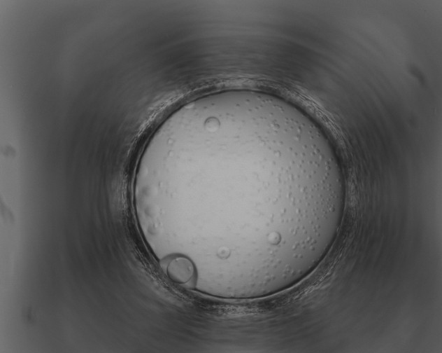 X0000091090347200708061004