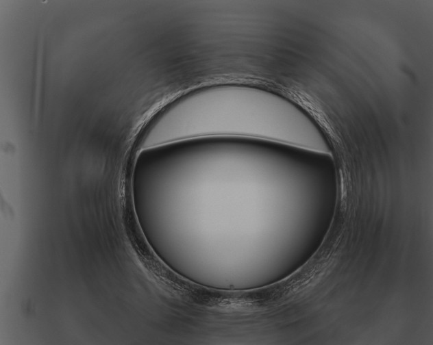 X0000091090348200708061004