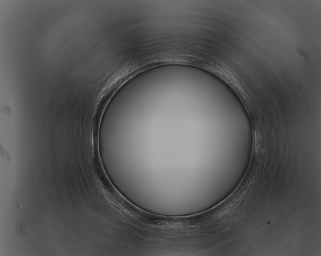 X0000091090349200708061004