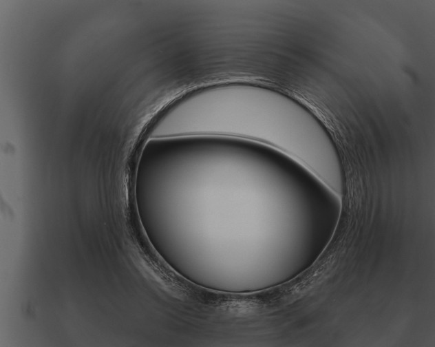 X0000091090350200708061004