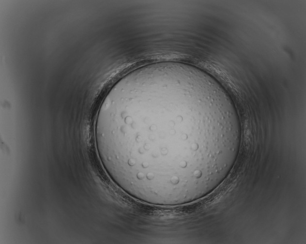 X0000091090351200708061004