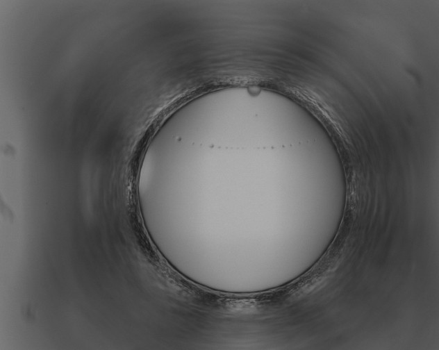 X0000091090355200708061004