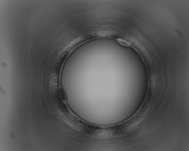 X0000091090356200708061004