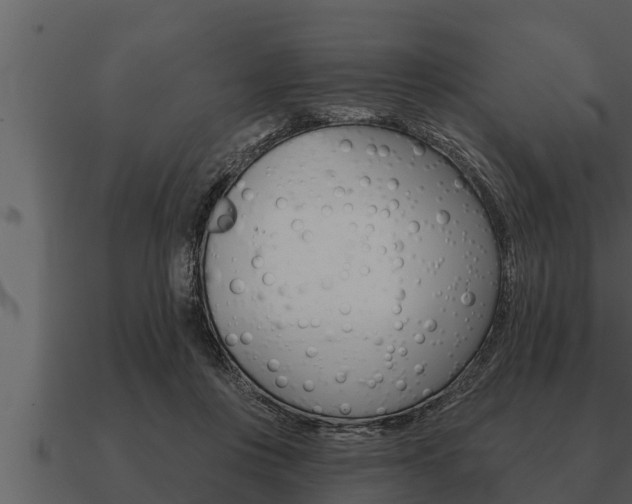 X0000091090359200708061004