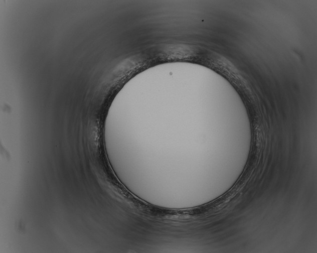 X0000091090362200708061004