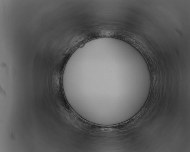 X0000091090363200708061004