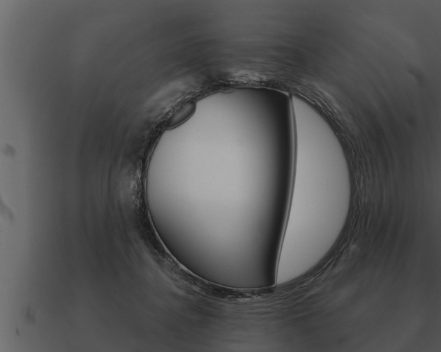 X0000091090364200708061004