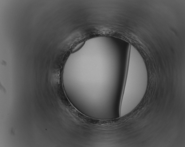 X0000091090368200708061004