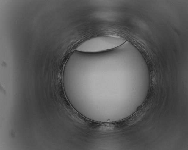 X0000091090369200708061004