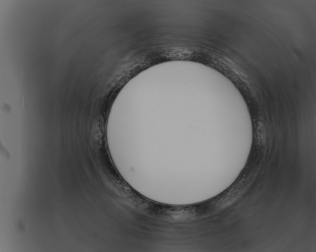 X0000091090370200708061004