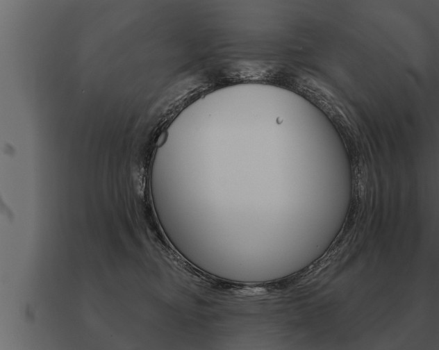 X0000091090374200708061004