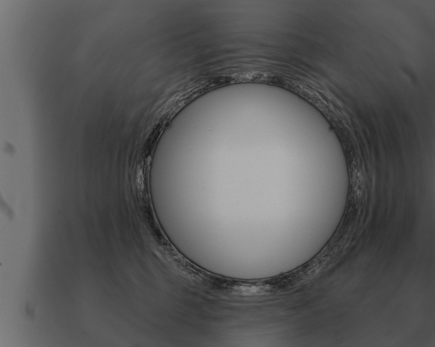 X0000091090375200708061004