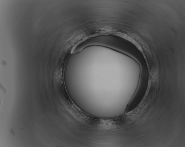 X0000091090376200708061004