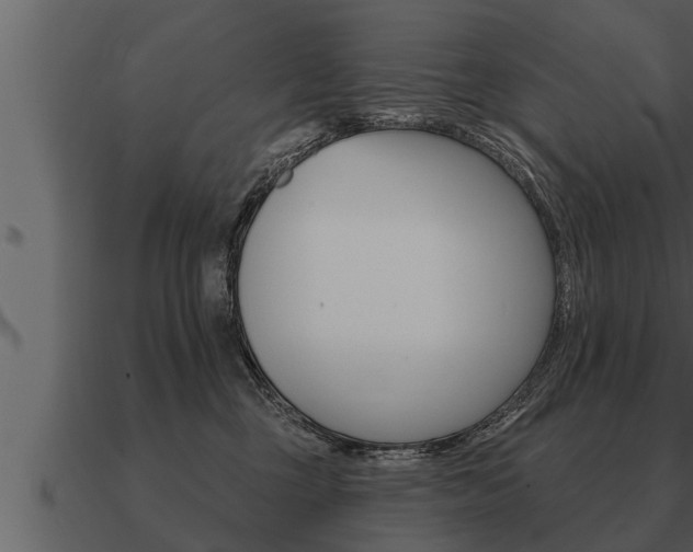 X0000091090377200708061004