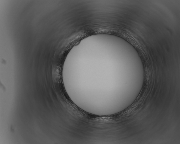 X0000091090378200708061004