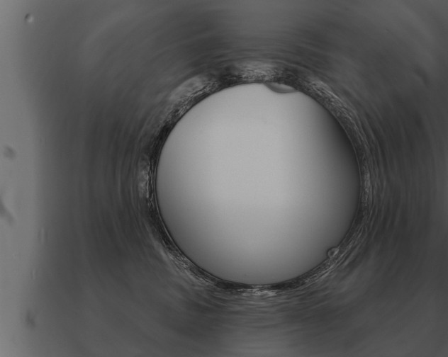 X0000091090379200708061004