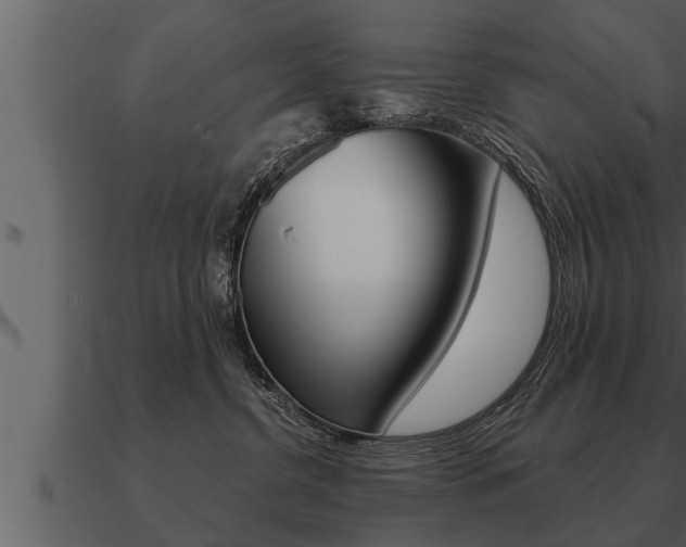 X0000091090380200708061004